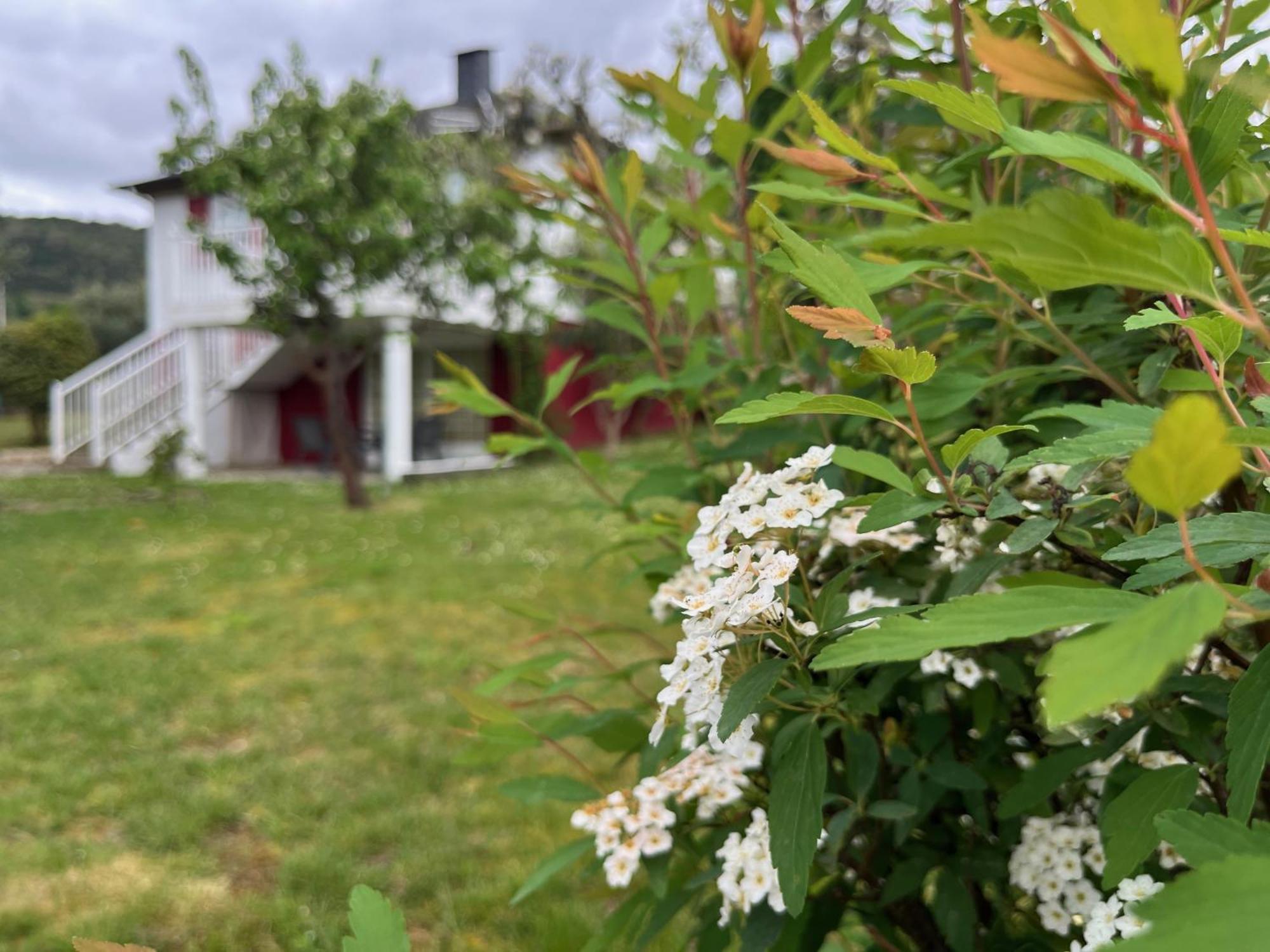 A Casina Casa Rural En Galicia Ourense Exterior foto